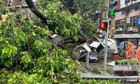 Hà Nội: 2 người thiệt mạng, 4 người bị thương, hàng trăm sự cố giao thông do bão số 3