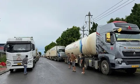 Chuyện gì đang xảy ra với việc kiểm nghiệm sầu riêng?