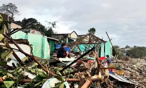 Sáng nay, Quy Nhơn thức dậy trong hoang tàn