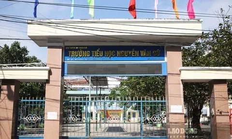 Tạm đình chỉ giáo viên bị tố sửa bài kiểm tra, “dìm” điểm hàng loạt học sinh