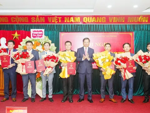 Hải Phòng: Kiện toàn công tác cán bộ tại hàng loạt sở, ngành