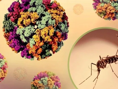 Dịch bệnh Chikungunya tăng tại nhiều nước, Bộ Y tế chỉ đạo khẩn