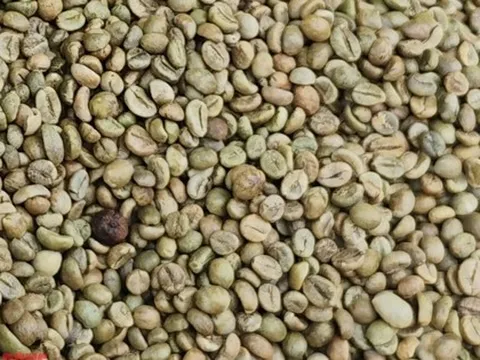 Giá cà phê hôm nay 14-1: Tăng đồng loạt, Brazil xuất khẩu giảm sâu