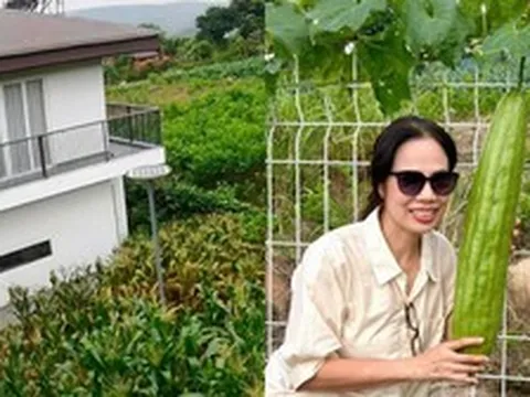 Mẹ Á hậu 2 Miss Universe Vietnam 2026 có khu vườn gần 1.000m² ở Lâm Đồng, trồng đủ rau trái, sống chill