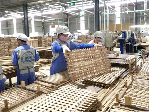 Xuất khẩu lâm sản trong năm 2022 dự kiến đạt hơn 16 tỷ USD